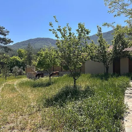 Daire Escape To Nature Private Pool In Lyciafarm